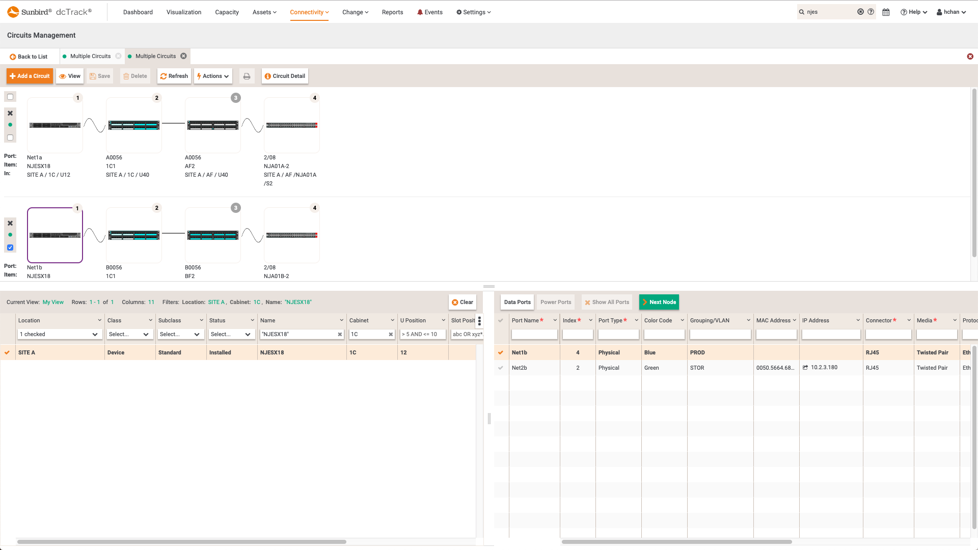 Screenshot of Multiple Data Circuit Traces from Redundant NICs