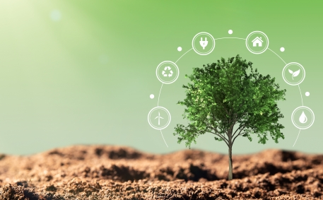 Renewable energy, ecology concept with tree
